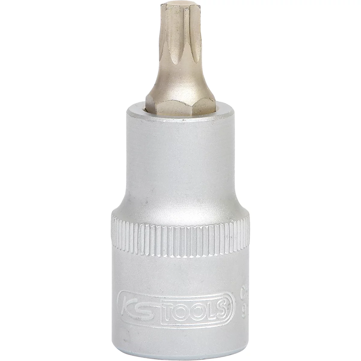 Ein silberfarbener Torx-Einsatz für Schrauben, Detailaufnahme. Oben sternförmiger Kopf, darunter zylindrischer Körper.